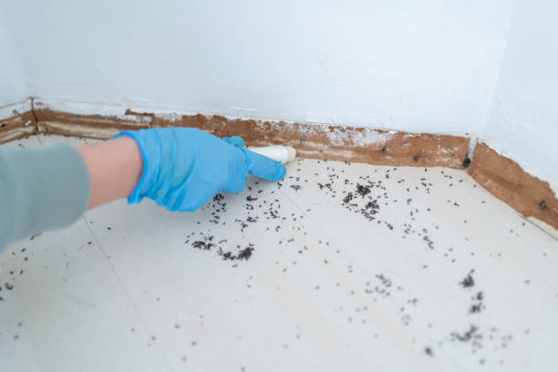 Best Emergency Pest Control  in Crete, IL